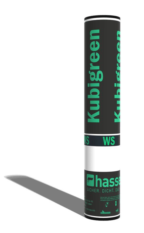 hasse-Kubigreen-WS